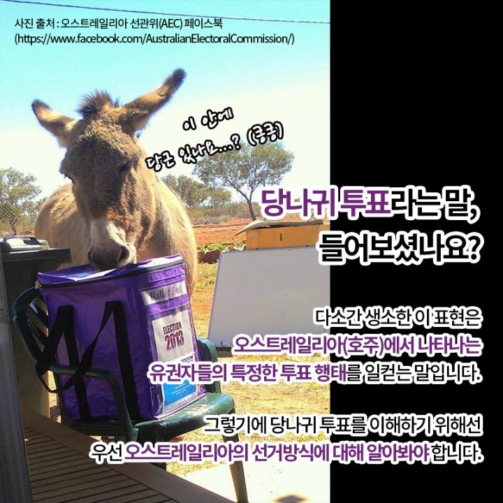 [키워드로 보는 선거] 당나귀 투표(하단내용 참조)