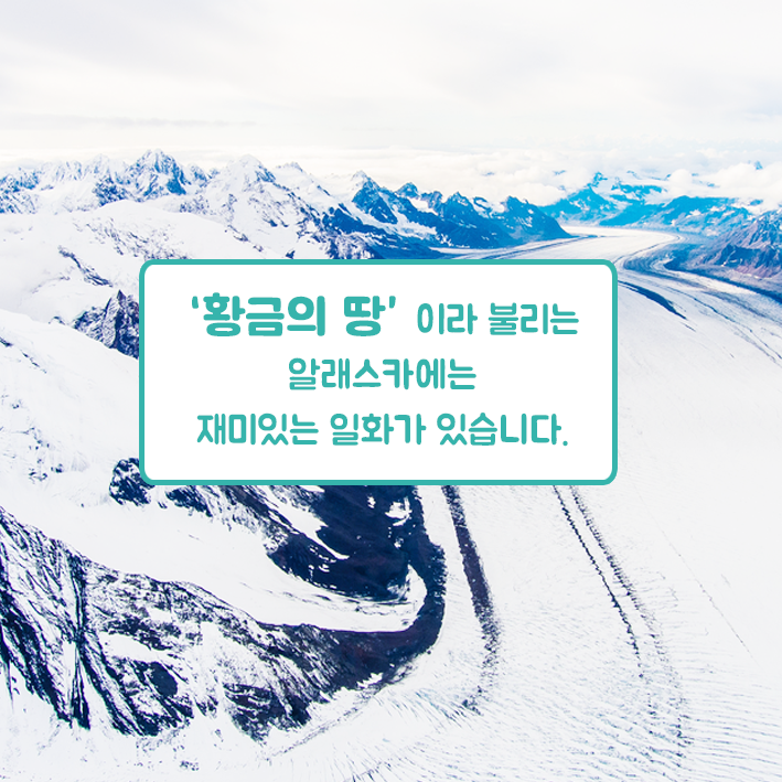 황금의 땅 이라 불리는 알래스카에는 재미있는 일화가 있습니다.