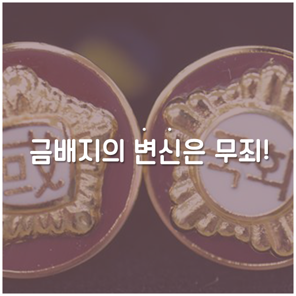금배지의 변신은 무죄!
