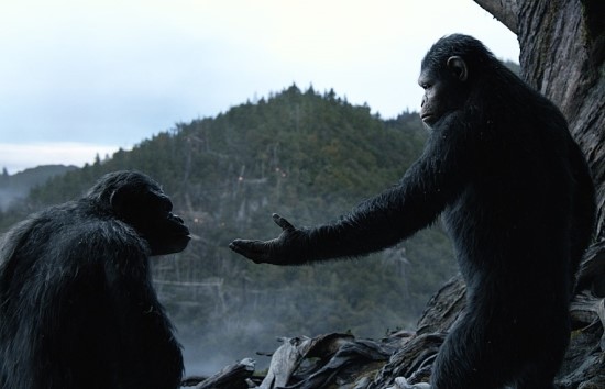 [영화와 선거] 혹성탈출 : 종의 전쟁 관련이미지5