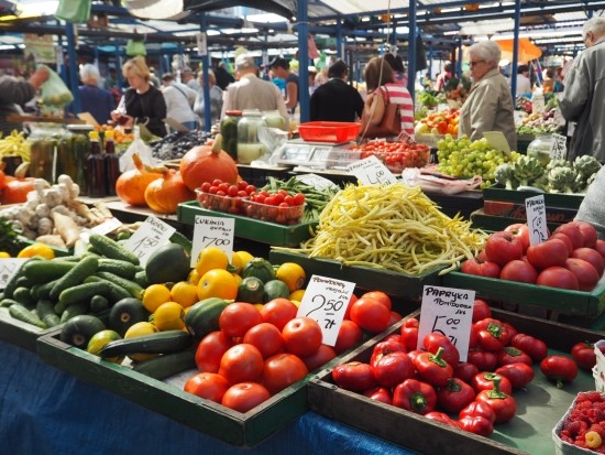 [특별기고] 그곳에도 다시 초록빛의 풀이 자란다. -폴란드 아우슈비츠 수용소에서 관련이미지1