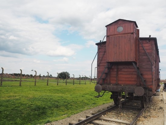 [특별기고] 그곳에도 다시 초록빛의 풀이 자란다. -폴란드 아우슈비츠 수용소에서 관련이미지3