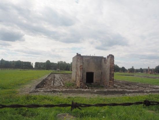 [특별기고] 그곳에도 다시 초록빛의 풀이 자란다. -폴란드 아우슈비츠 수용소에서 관련이미지2