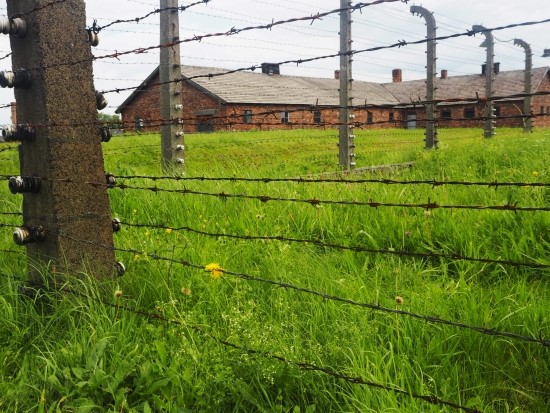 [특별기고] 그곳에도 다시 초록빛의 풀이 자란다. -폴란드 아우슈비츠 수용소에서 관련이미지5