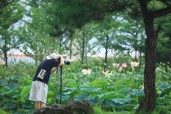 [특별기고] 6월 13일, 투표 끝나고 여기 어때? 관련이미지2