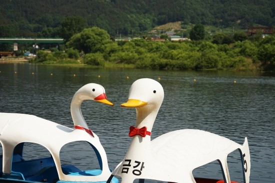 [특별기고] 6월 13일, 투표 끝나고 여기 어때? 관련이미지4