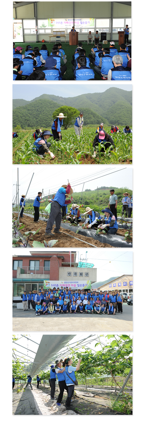 1사1촌 자매결연마을 일손돕기 행사 개최