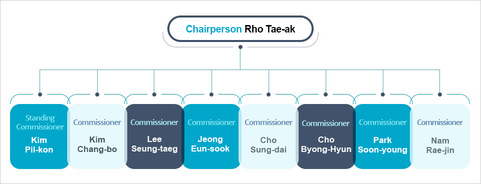 Vice Chairperson & Commissioner chart
