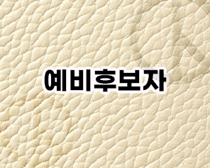 예비후보자