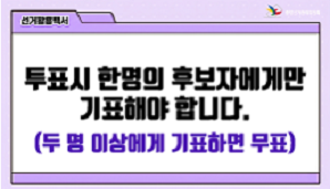 제9회 전국동시지방선거, 한 명의 후보자에게만 기표해야 합니다